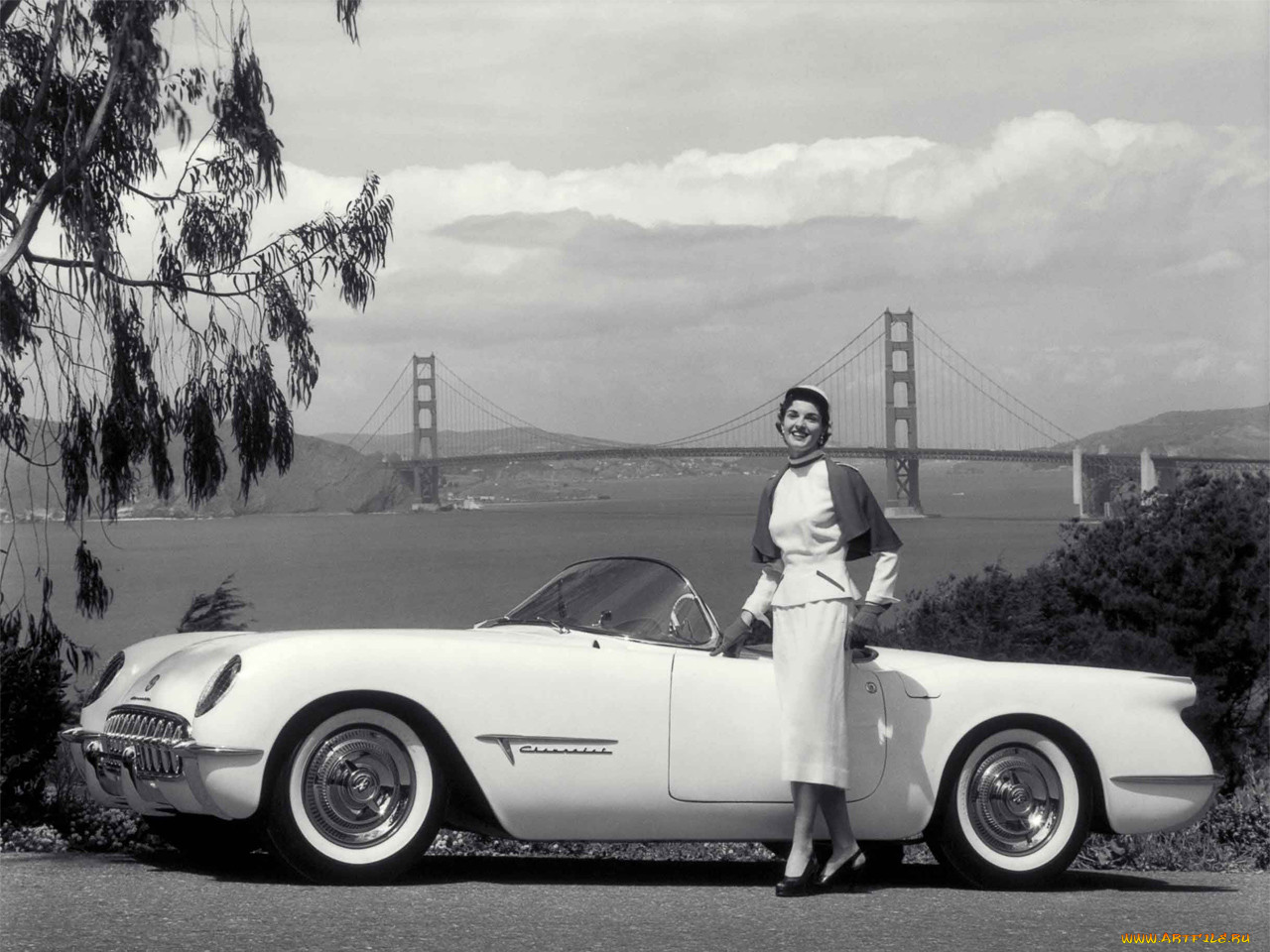 , corvette